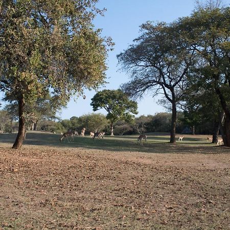 Kruger Park Lodge Unit 245 Hazyview Exteriör bild