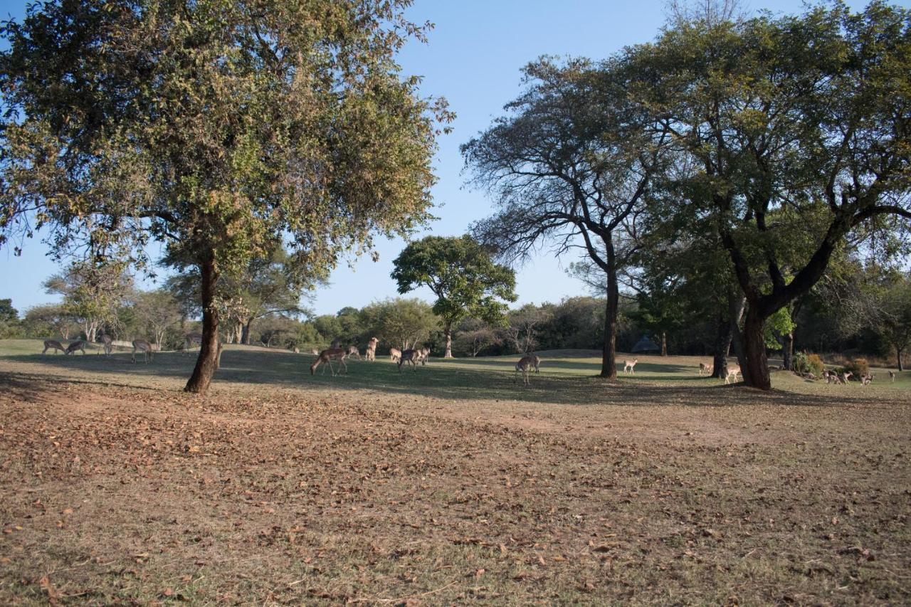 Kruger Park Lodge Unit 245 Hazyview Exteriör bild